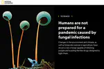 National Geographic: Humans are not prepared for a pandemic caused by fungal infections