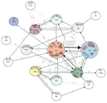 New publication: the growing threat of Candida parapsilosis outbreaks